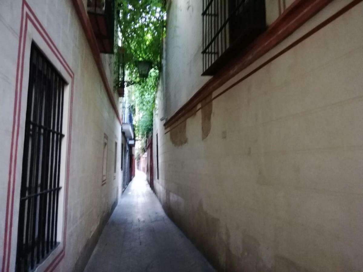 Apartamento En La Juderia De Sevilla Exteriör bild